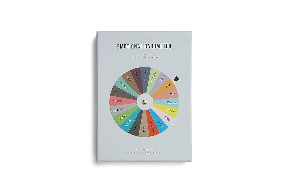 Emotional Barometer: a tool to explain our moods cover image
