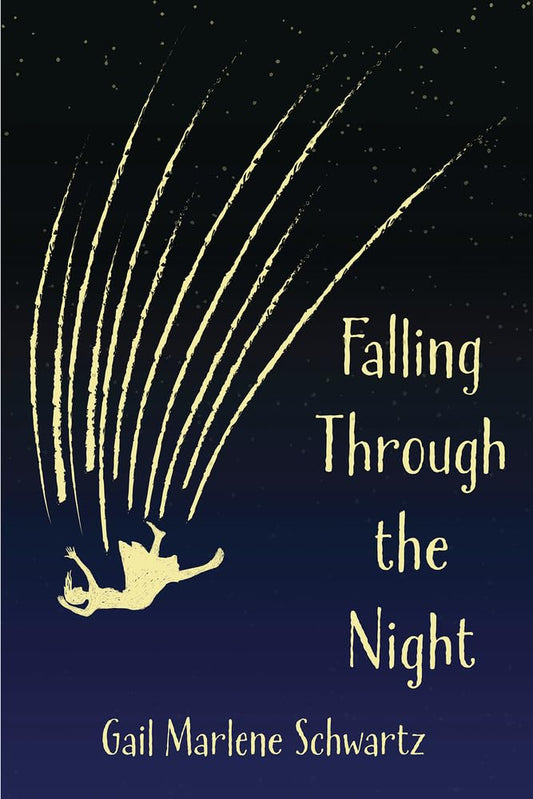 Falling Through the Night - MAKES SENSE TO ME