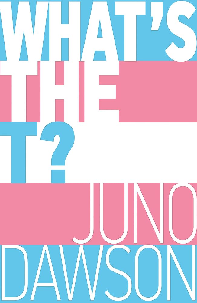 What's the T?: The no-nonsense guide to all things trans and/or non-binary for teens - MAKES SENSE TO ME