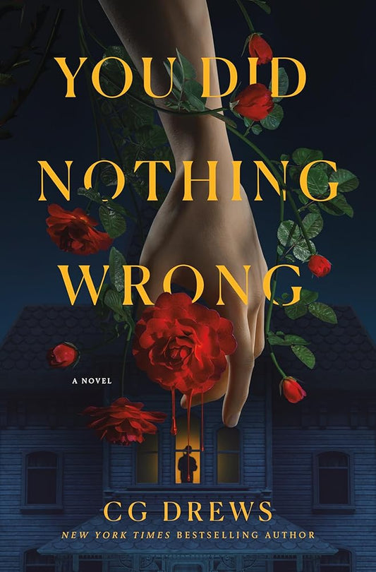 You Did Nothing Wrong: A Novel - MAKES SENSE TO ME